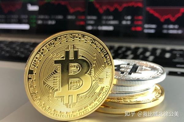 “稀客”紫背椋鸟到访福建
